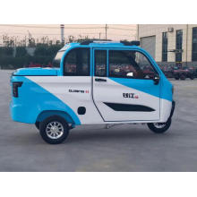 Big Powerful Fully Enclosed Electric Tricycle